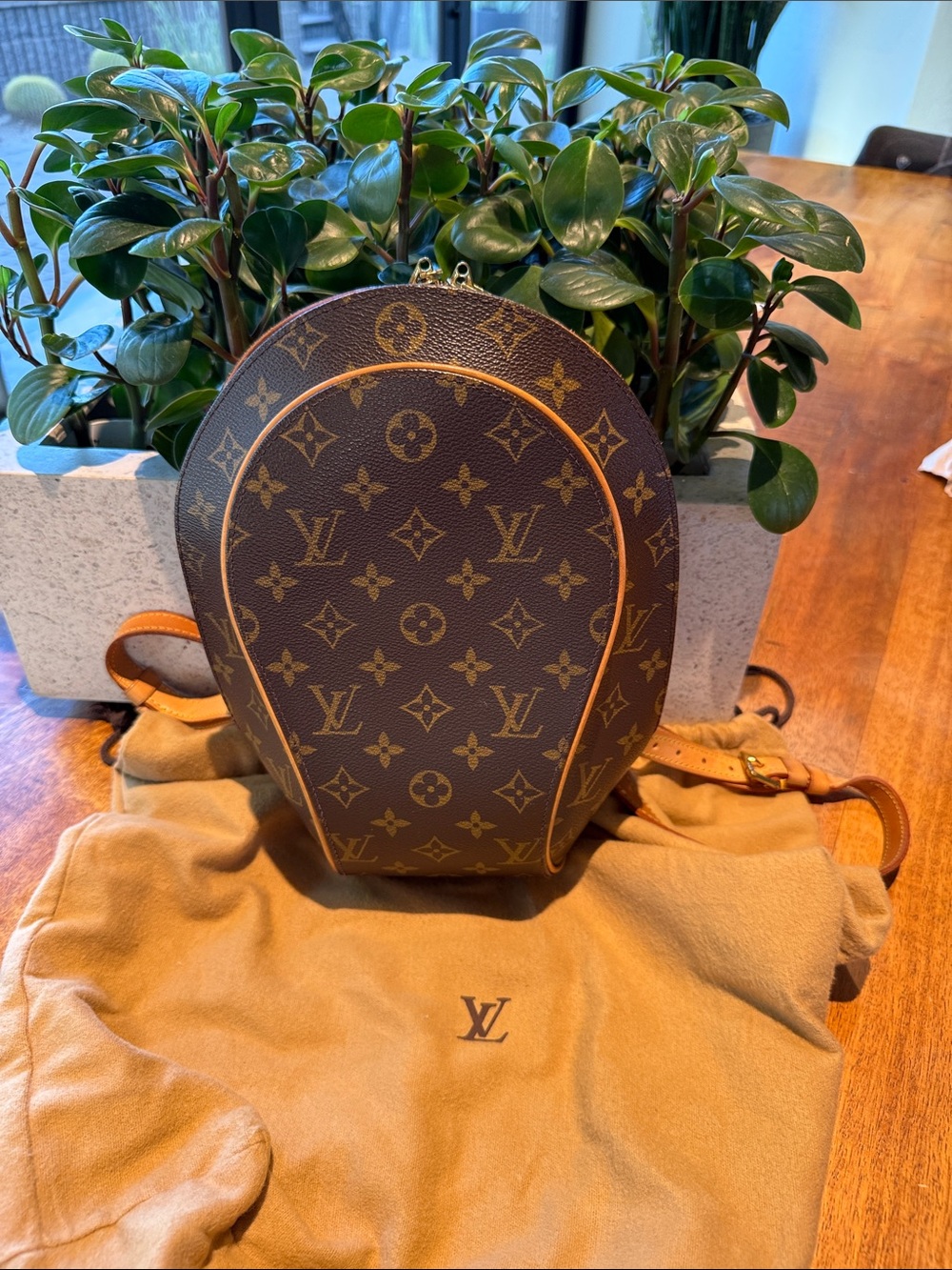 Louis Vuitton Monogram Round Backpack in Brown and Tan - Picture 1 of 3